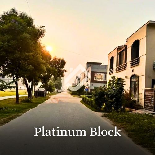 Platinum