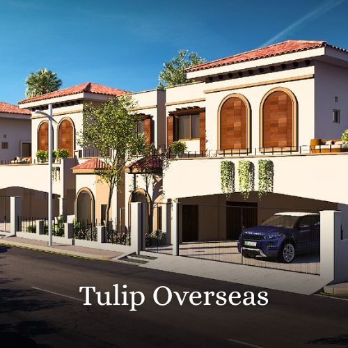 Tulip Overseas